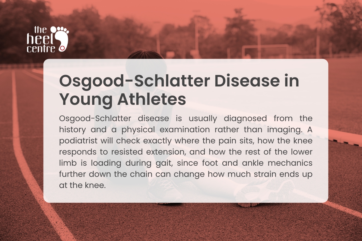 Osgood-Schlatter Disease in Young Athletes: A Ringwood East Podiatrist's Guide for Parents 1 Podiatrist Ringwood East | Osgood-Schlatter Disease in Young Athletes